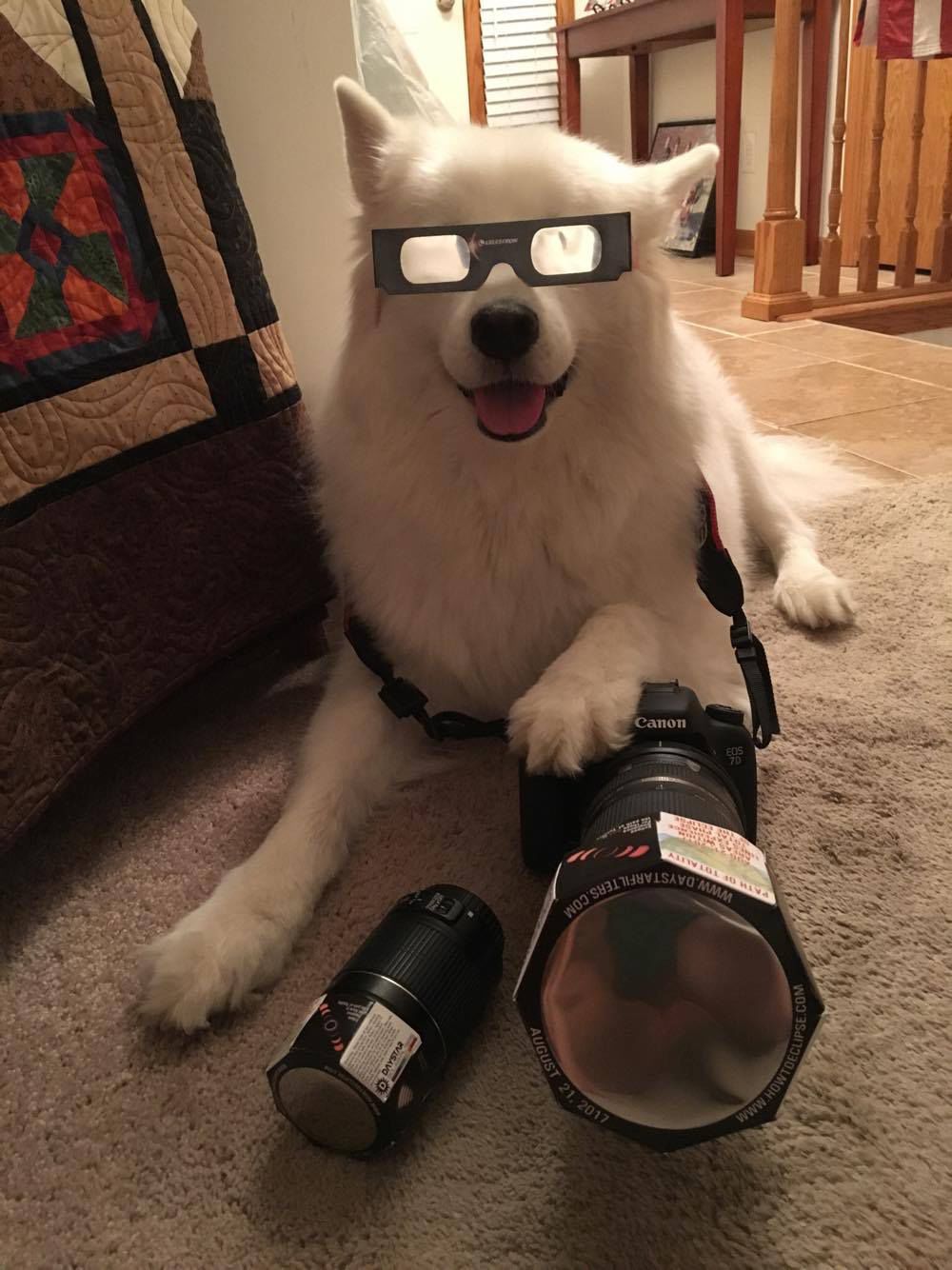 Eclipse watching